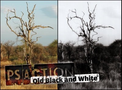 Photoshop Actions