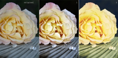 Photoshop Actions