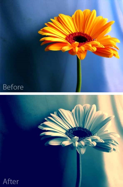 Photoshop Actions