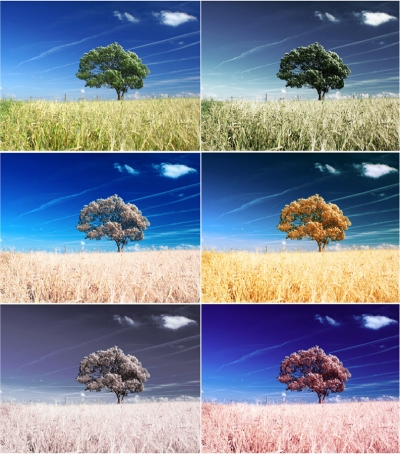 Photoshop Actions