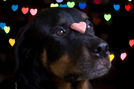 heart shape Bokeh 02
